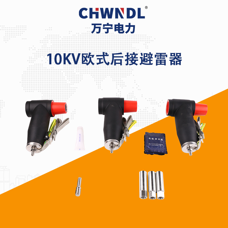 10KV歐式后接避雷器